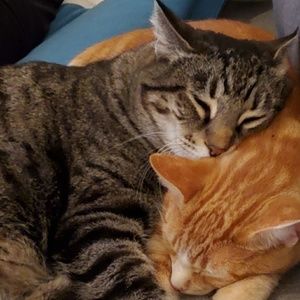 Meet your Posher, Danica